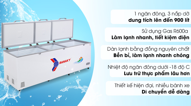 Tủ đông Sanaky 900 lít VH-1199HY 