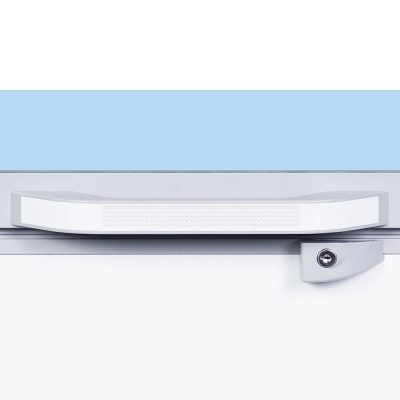 Tủ đông Sanaky VH-2899W2KD 280 lít